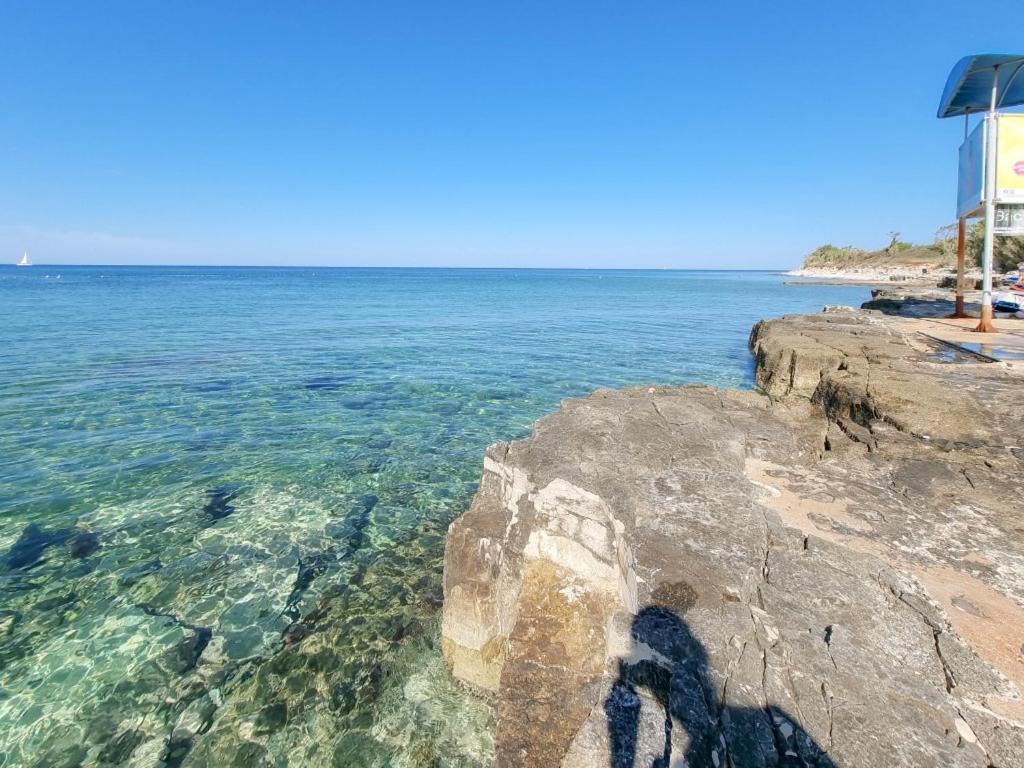 Novigrad IstriaSilos Mare公寓 外观 照片